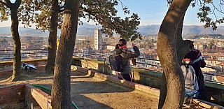 Torre Guinigi v Lucca (Itálie)