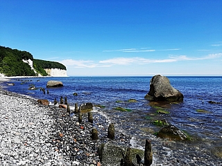 Pláž a bílé útesy v národním parku Jasmund (Rujána - Německo)