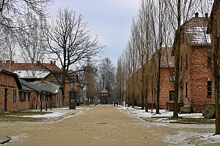 Návštěva Osvětimi je smutná, avšak žádoucí, aby si lidé uvědomili, jaké činy tu byly v minulosti na-páchány a jaké to mělo následky (Auschwitz Osvětim - Polsko)