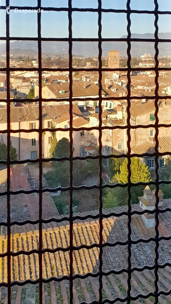 Věž Torre Guinigi v Lucca (Toskánsko - Itálie)