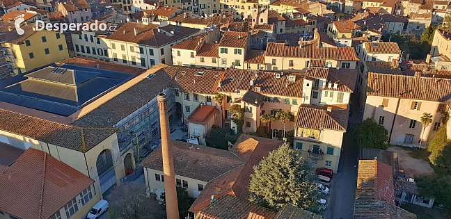 Pohled z věže Torre Guinigi v Lucca (Toskánsko - Itálie)