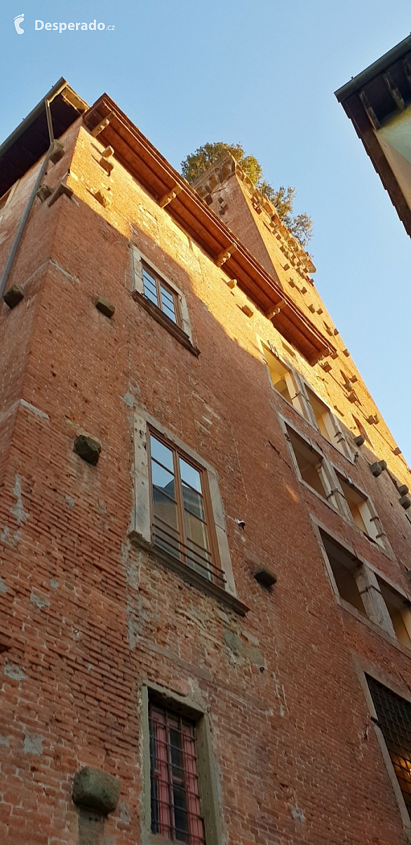 Věž Torre Guinigi v Lucca (Toskánsko - Itálie)