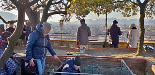 Pohled z věže Torre Guinigi v Lucca (Toskánsko - Itálie)