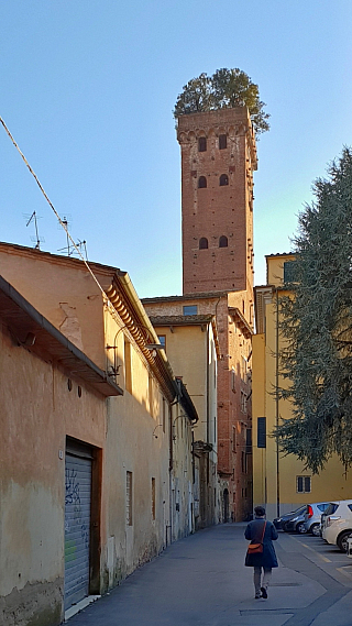 Věž Torre Guinigi v Lucca (Toskánsko - Itálie)