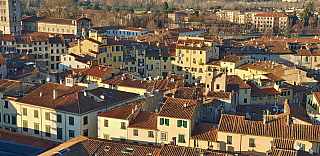 Pohled z věže Torre Guinigi v Lucca (Toskánsko - Itálie)