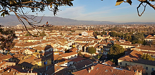 Pohled z věže Torre Guinigi v Lucca (Toskánsko - Itálie)