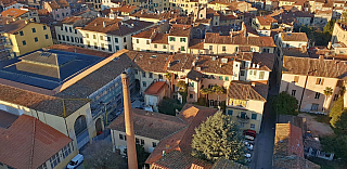 Pohled z věže Torre Guinigi v Lucca (Toskánsko - Itálie)