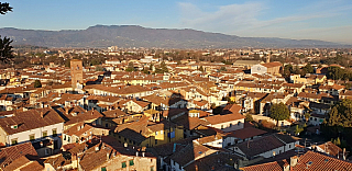 Pohled z věže Torre Guinigi v Lucca (Toskánsko - Itálie)