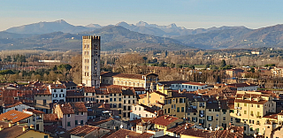 Pohled z věže Torre Guinigi v Lucca (Toskánsko - Itálie)