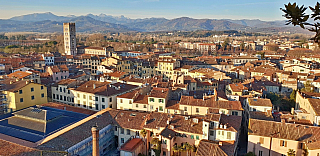 Pohled z věže Torre Guinigi v Lucca (Toskánsko - Itálie)