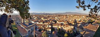 Pohled z věže Torre Guinigi v Lucca (Toskánsko - Itálie)