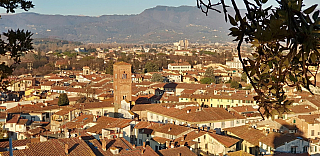 Pohled z věže Torre Guinigi v Lucca (Toskánsko - Itálie)