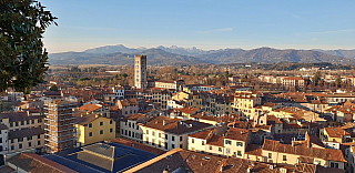 Pohled z věže Torre Guinigi v Lucca (Toskánsko - Itálie)