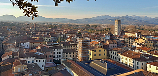 Pohled z věže Torre Guinigi v Lucca (Toskánsko - Itálie)