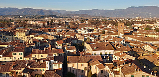 Pohled z věže Torre Guinigi v Lucca (Toskánsko - Itálie)