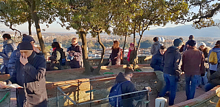 Věž Torre Guinigi v Lucca (Toskánsko - Itálie)