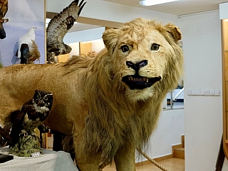 Nitrianska Kalvária (Slovensko)