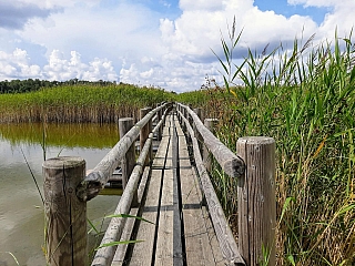 Bezpečný průchod vodnatou krajinou (Jūrmala - Lotyšsko)