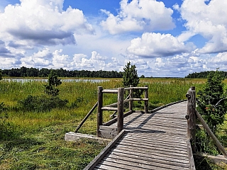 Dřevěný chodníček uprostřed močálů (Jūrmala - Lotyšsko)