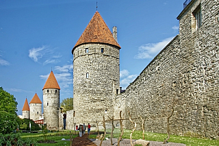 Městské opevnění v Tallinnu