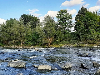 Řeka Odra (Česká republika)