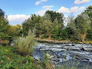 Řeka Odra (Česká republika)