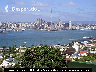Auckland (Nový Zéland)