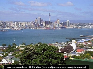 Auckland (Nový Zéland)