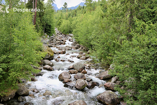 Zakopane jsou oblíbenou destinací nejen v zimě, ale i v létě (Zakopane - Polsko)
