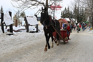 Na hoře Gubalowka po vyšlapání nebo vyjetí nahoru najdete mnoho stánků se suvenýry nebo i povozy s koňmi (Zakopane - Polsko)