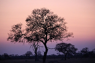 Západ slunce (Zimbabwe)