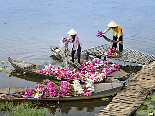 Jižní Vietnam a jógové pobyty