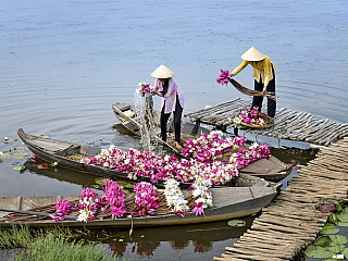 Mekong (Vietnam)