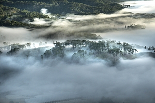 Kouzelná krajina v oblasti Da Lat (Vietnam)