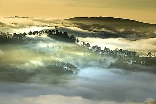 Kouzelná krajina v oblasti Da Lat (Vietnam)