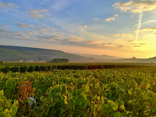 Náklaďákem kolem světa 2 - Champagne - Ardenne ve Francii