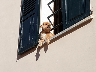 Alcúdia (Mallorca - Španělsko)