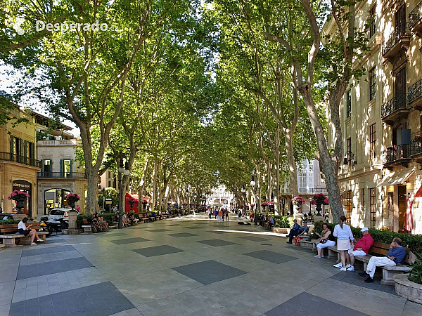 Palma de Mallorca (Mallorca - Španělsko)