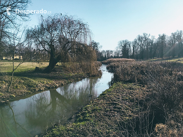 Krupský potok, ktorý preteká parkom kaštieľa v Dolnej Krupej (Slovensko)