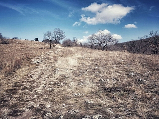 Zoborská lesostep (Slovensko)