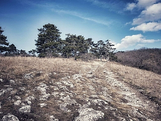 Zoborská lesostep (Slovensko)