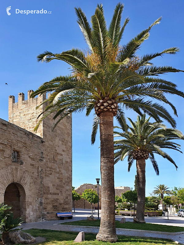 Alcúdia (Mallorca - Španělsko)
