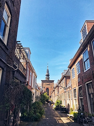 Nieuwe Kerk (Haarlem - Nizozemsko)