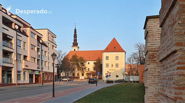 Trnava (Slovensko)
