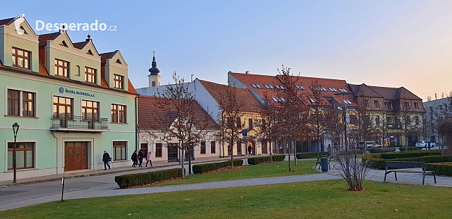 Trnava (Slovensko)