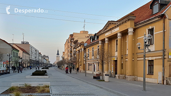 Trnava (Slovensko)