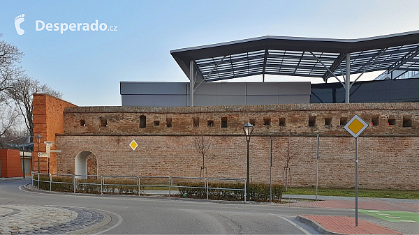 Trnava (Slovensko)