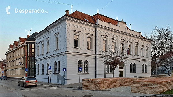 Trnava (Slovensko)