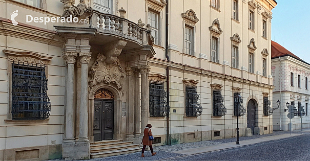Trnava (Slovensko)