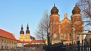 Trnava (Slovensko)